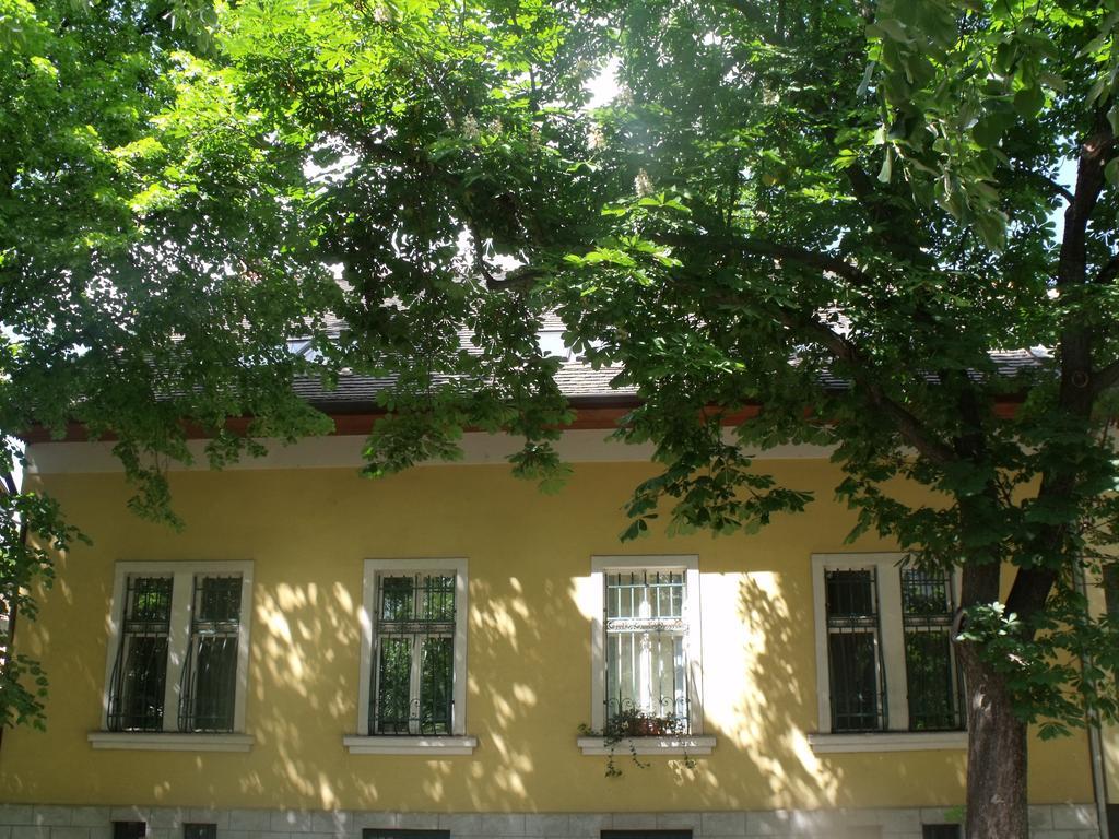 Adalbert Haz Budapeşte Dış mekan fotoğraf